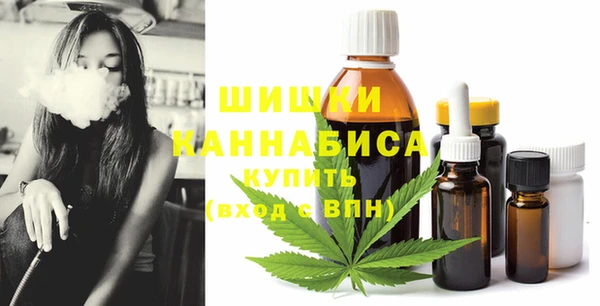 ПСИЛОЦИБИНОВЫЕ ГРИБЫ Алексин