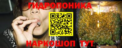 сатива Изобильный