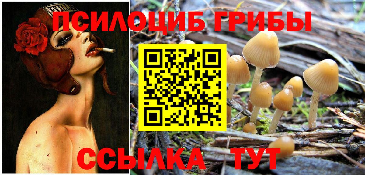 Псилоцибиновые грибы GOLDEN TEACHER Кемерово