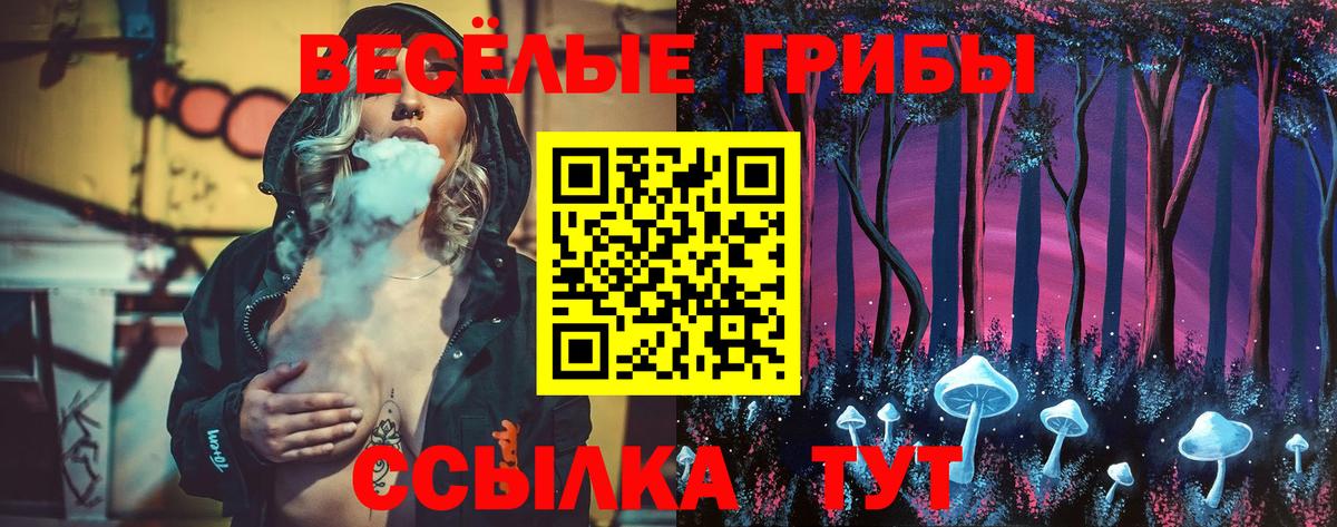 Галлюциногенные грибы MAGIC MUSHROOMS  Вход с VPN  Кемерово 